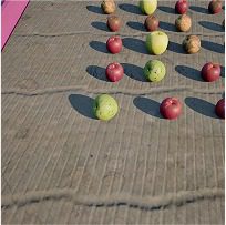Apples in basket