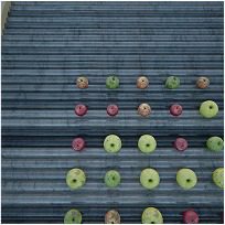 Apples in field