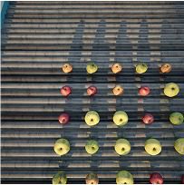 Apples in field